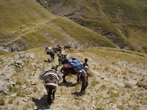 trekking con i muli-12.jpg